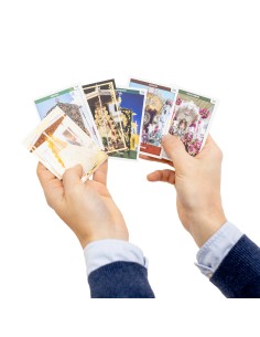Cards Sueltas HolyCards Rocío 2025