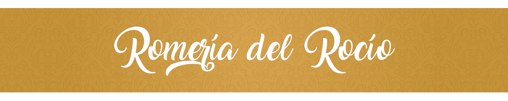 HolyCards Rocío | La Tienda de Cromos